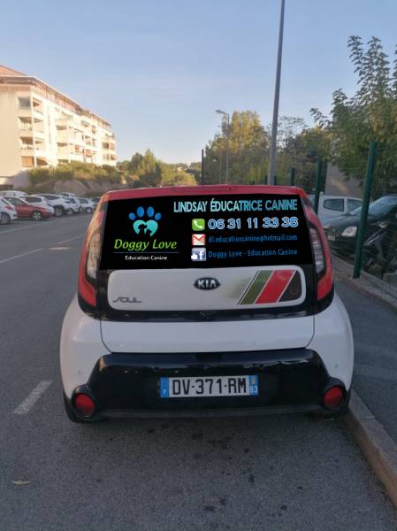 marquage véhicule arrière