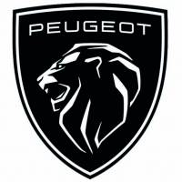CONCESSIONNAIRE AUTOMOBILE FREJUS GEMY PEUGEOT